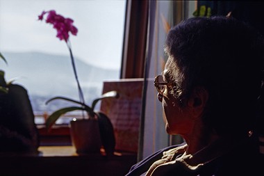Person im Profil blickt aus dem Fenster auf Orchidee und Berge